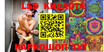 МДПВ Рыбинск